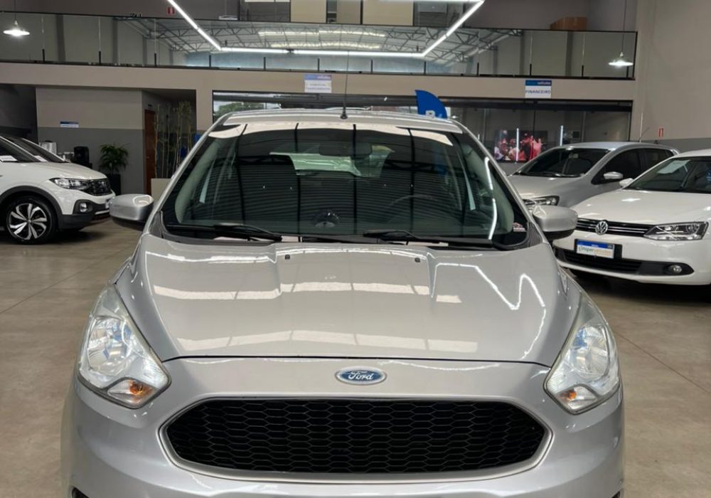 WhatsApp Image 2026-02-13 at 11.15.11